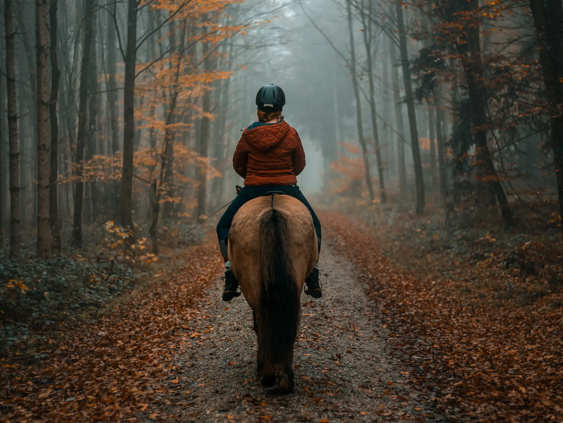 Rida i naturen är bra för både din & hästens hälsa